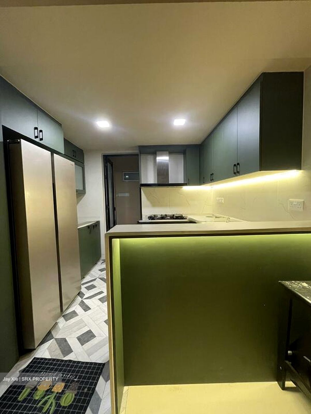 Savannah Condopark (D18), Condominium #571852571